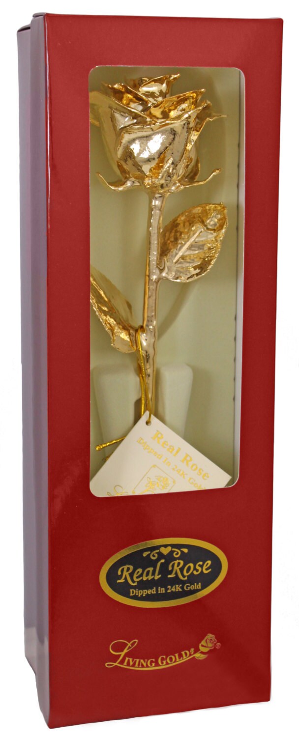 Gold Venus Rose by Living Gold - Real Rose Dipped in Gold (12