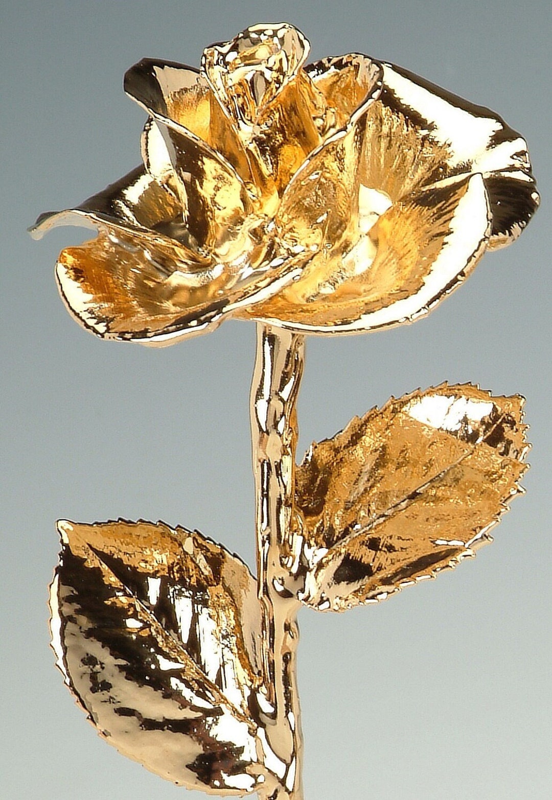 Gold Diana Rose by Living Gold Real Rose Plated in 24K Gold 12 Full ...
