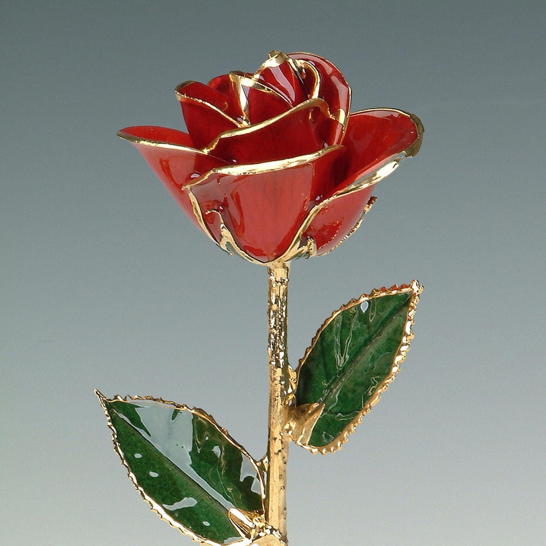 Red Rose - Original 24k Gold Dipped Rose - Real Rose Plated in Gold by ...