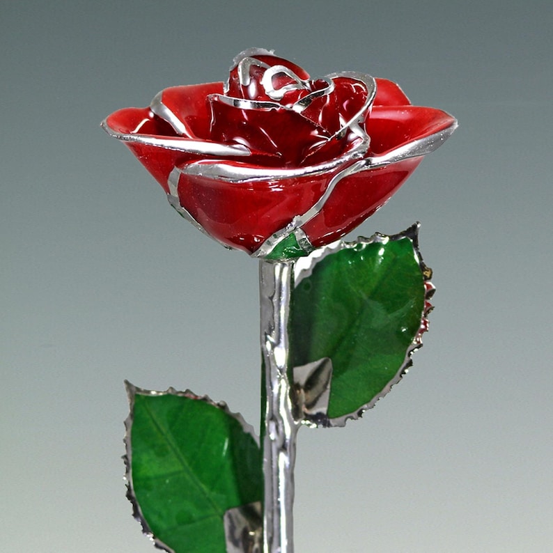 Real rose (12″) preserved in lacquer and trimmed in Platinum. As part of the Birth Color Rose collection, this Red Rose represents the month of January. The Red Rose is a symbol of Romance, Love and Passion, as well as of Beauty and Courage.