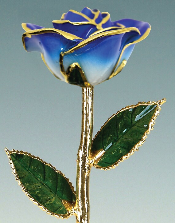 2-Tone Dark Blue 24k Gold Rose by Living Gold - Real Rose Dipped in Gold