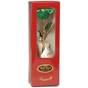 Light Green - Original 24k Gold Dipped Rose - Real Rose Plated in Gold ...