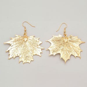 Echte Zuckerahornblatt Ohrringe in 24k Gold getaucht