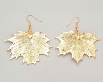 May include: A pair of gold-tone earrings shaped like maple leaves. The leaves are detailed and have a textured finish.