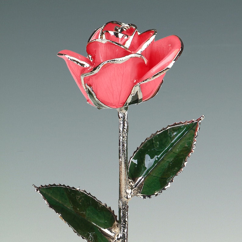 Real rose (12″) preserved in lacquer and trimmed in Platinum. As part of the Birth Color Rose collection, this Pink Rose represents the month of December. The Pink Rose is a symbol of First Love, Grace, Admiration and Joy.