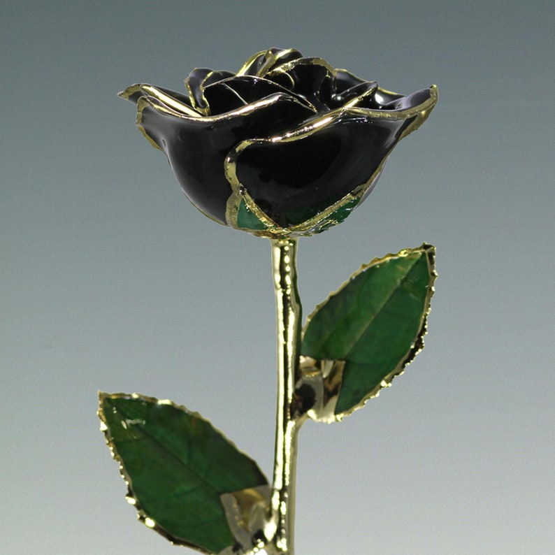 Real rose (12″) preserved in lacquer and trimmed in 24K Gold.

The Black Rose is a symbol of Strength, Mystery and Farewells, as well as of Optimism and Hope.