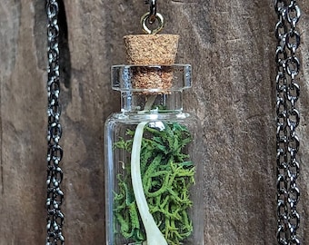 SALE Ossuary Necklace - One of a Kind - Cruelty Free - Bone - Vial - Macabre - Oddity - Oddities - Goth - Gothic - Witchy - Spooky - Dark