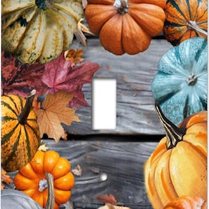Pumpkin / Fall / Seasonal Switchplate Cover, This pumpkin switchplate features a variety of pumpkins and colorful fall leaves SP135