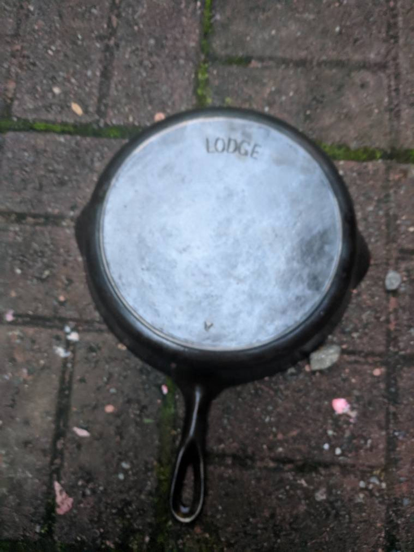 Lodge Arc Logo 8 Cast Iron Skillet Etsy