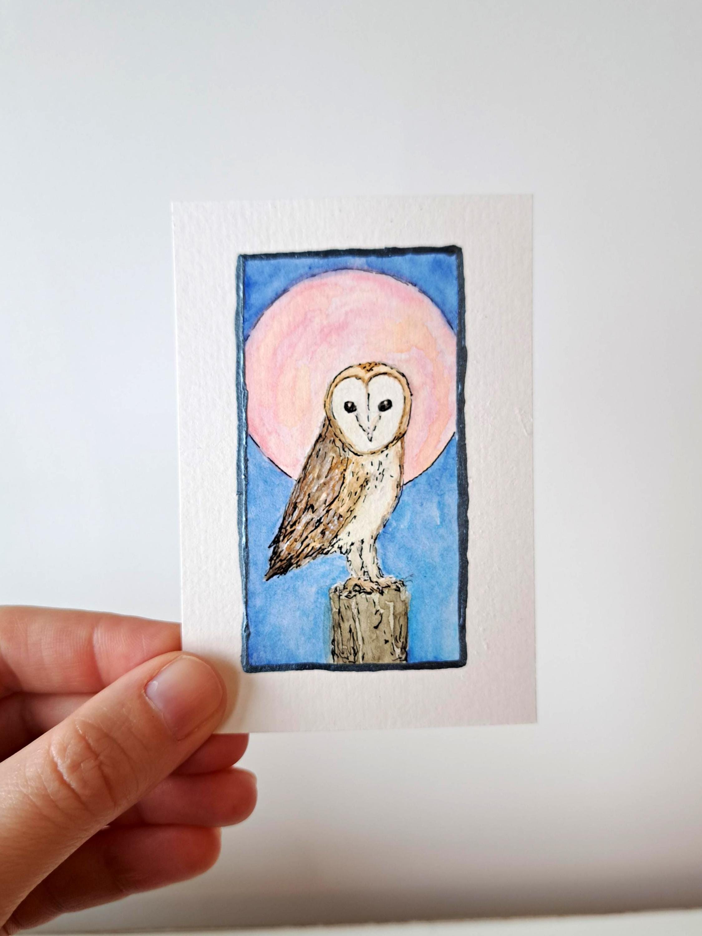 Barn Owl, Pink Moon