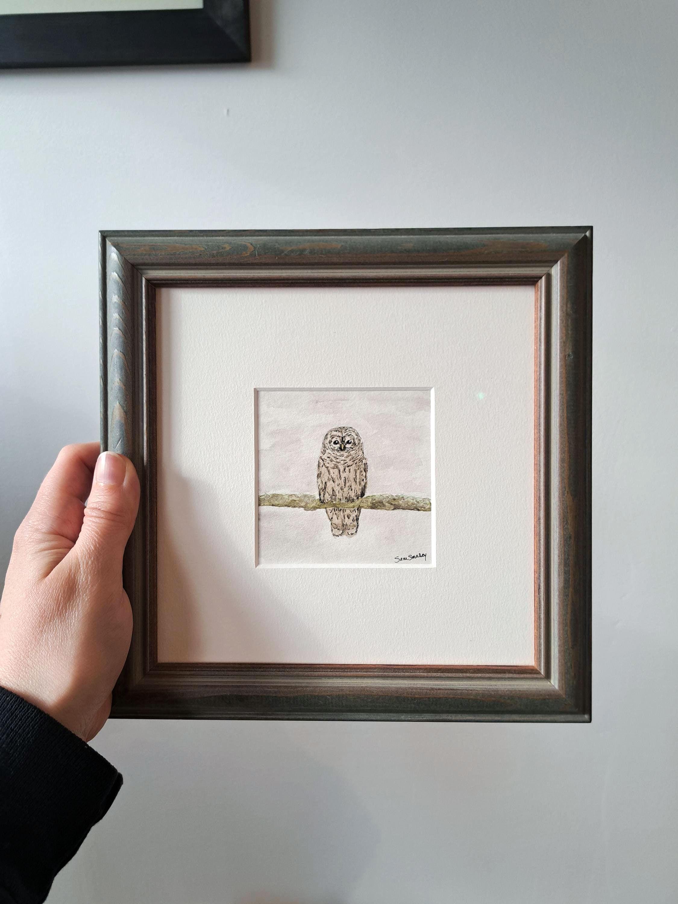 Tiny Barred Owl - ORIGINAL Artwork, Framed, Ready To Hang