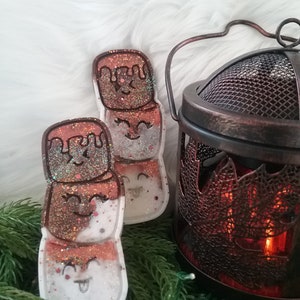 May include: Two white and brown glittery resin ornaments shaped like marshmallows with smiling faces. The ornaments are sitting on a bed of green pine branches next to a copper lantern with a lit candle inside.