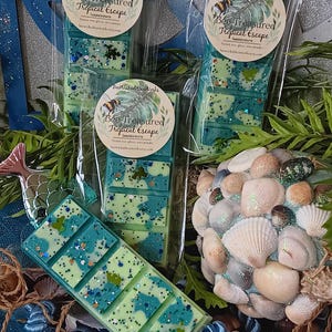 Tropical Escape wax melt snap bar strong scented wax melts for wax warmer fruit scented wax melt housewarming gift tropical scented wax melt