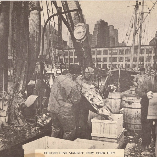 Fulton Fish Market New York City Picture/Photo 8 1/4 x 10 3/4" Vintage