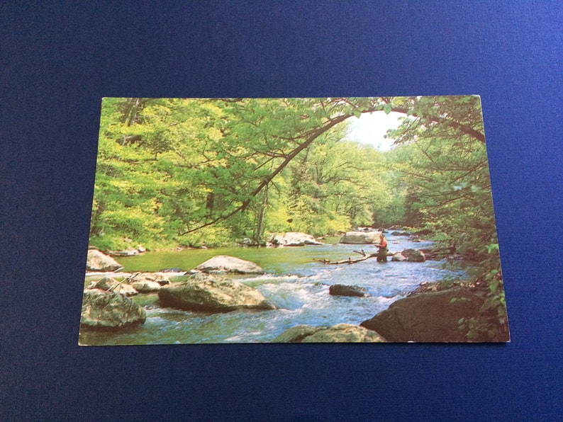 Fly Fishing Raritan River New Jersey Vintage 1962 Gorge in Hunterdon County Postcard