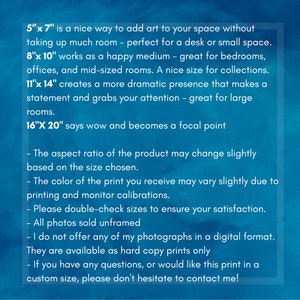 May include: Text on a blue background describes print sizes: 5"x7", 8"x10", 11"x14", and 16"x20". It also mentions aspect ratio, color variations, and that prints are sold unframed. Contact for custom sizes.