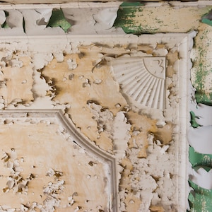 Urban Decay Peeling Paint Photo, Shamrock Fine Art Print, Urbex Photography, Abandoned Image Gift