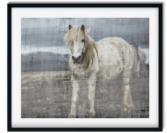 Horse Equine Fine Art photo decor, Fine Art Horse Prints, Horse Photography, Icelandic Horse