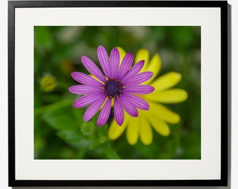 Flower Art, Flower Photography, Flower Decor, Flower Wall Art Print, Purple flower,