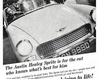 Austin Healey Car Print 1966, Original Advertising Wall Art