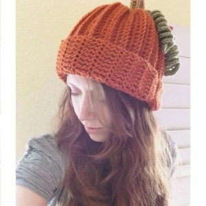 May include: A crocheted pumpkin hat with a brown stem and green leaves. The hat is orange and has a ribbed texture.
