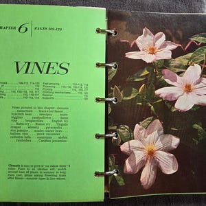 May include: Open book with a green cover and pages. The left page has the title "VINES" and a table of contents. The right page features a color photo of light pink flowers with yellow centers. The book is open to Chapter 6.