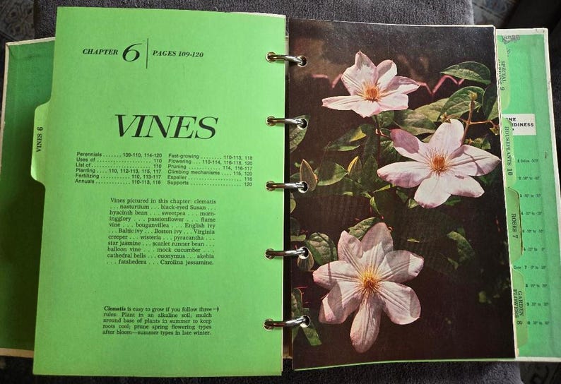 May include: Open book with a green cover and pages. The left page has the title "VINES" and a table of contents. The right page features a color photo of light pink flowers with yellow centers. The book is open to Chapter 6.
