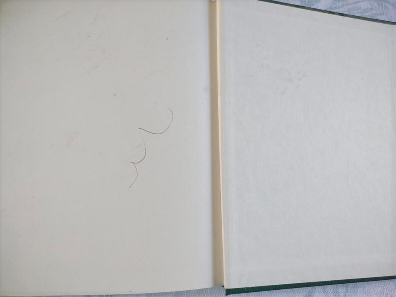 May include: A blank, white book with a green spine. The book is open to a blank page with a few faint pencil marks.