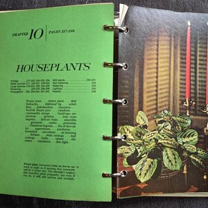 May include: Open book with green pages and a chapter titled "Houseplants." The right page features a picture of a potted plant with red candles in a gold candlestick. The left page lists plant types.