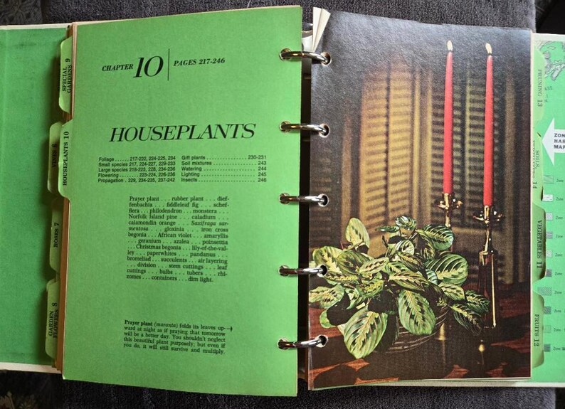 May include: Open book with green pages and a chapter titled "Houseplants." The right page features a picture of a potted plant with red candles in a gold candlestick. The left page lists plant types.