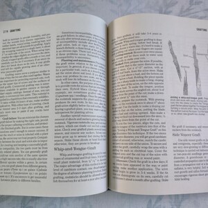 May include: A close-up of a book page with a detailed illustration of a whip-and-tongue graft, a type of grafting used to join two plants together. The illustration shows the steps involved in the process, including cutting the scion and rootstock, aligning the cambium layers, and securing the graft with tape.