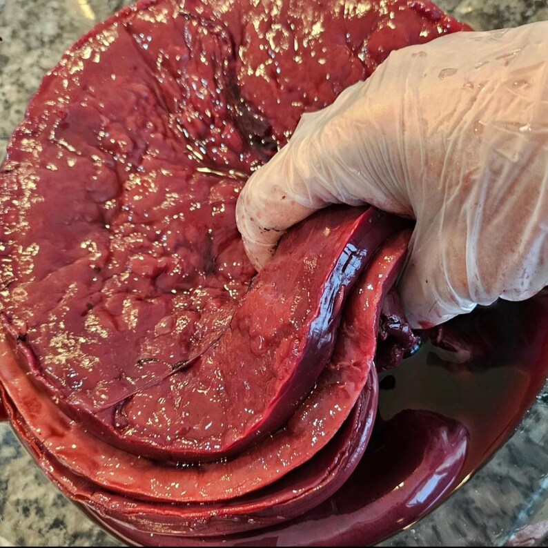 May include: A close-up of a large, raw, red liver being held in a gloved hand. The liver is in a bowl and appears to be soaking in a red liquid.