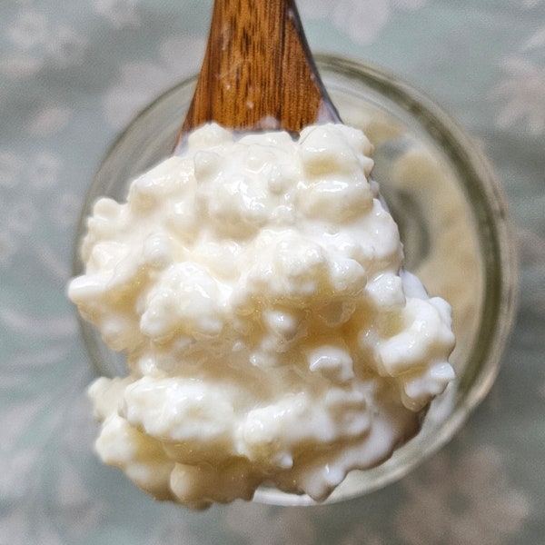 Organic milk kefir grains 1/2 Teaspoon