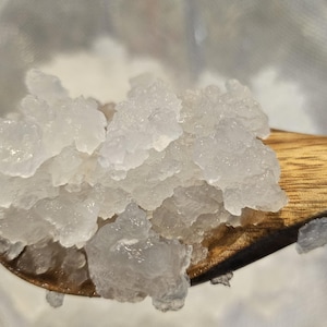 Organic water kefir grains