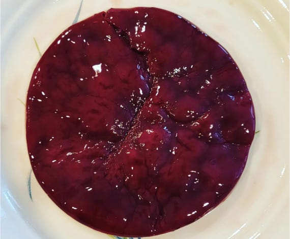 Red Wine Vinegar Mother with liquid starter.