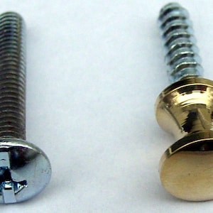 May include: Two screws with different heads. One screw has a round, gold-colored head with a threaded shaft. The other screw has a silver-colored, flat head with a threaded shaft.