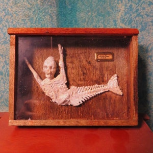 Atlantian Mermaid Skeleton Specimens Dollhouse Miniature Oddity Curiosity Mythological Creatures