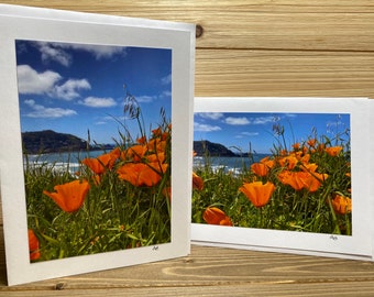 Pacifica Poppies #2 - Greeting Card Set