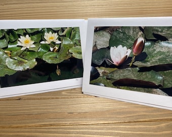 Water lilies - Greeting Card Set