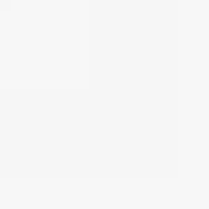 May include: A plain white background with a subtle gradient, suitable for various design applications. The image is a simple, clean composition, ideal for use as a backdrop or texture.