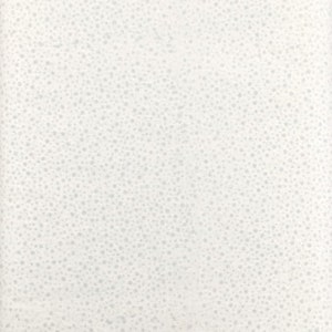 May include: A white background with a subtle pattern of small, light gray dots evenly distributed across the surface. The dots vary slightly in size and density, creating a textured appearance. The overall effect is a clean and minimalist design.