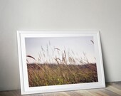 tall grass photography // vintage photo // wall art