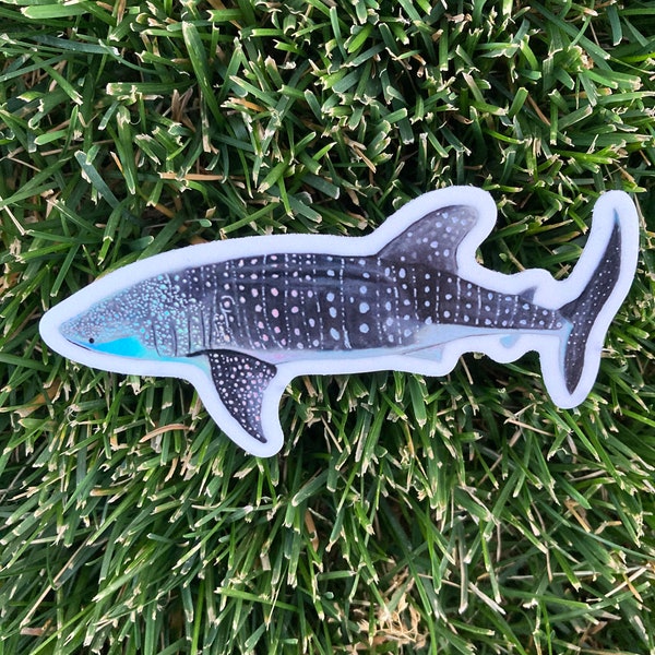 Whale Shark Sticker, Vinyl Sticker, Shark Gift, Holographic, Waterbottle Stickers, Colored Pencil, Sea Life, Computer Stickers, Waterproof