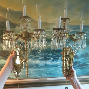 Whimsical sconces online