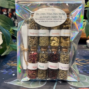 Green Witch Mini Herbal Apothecary Kit // Herbal Kit // Herb Magic // Healing Herb Kit