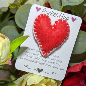 Biglietto d'auguri motivazionale con abbraccio tascabile in feltro rosso fatto a mano, regalo per San Valentino, amore