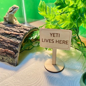 Custom reptile sign bearded dragon name sign, reptile house sign, tank decor, tank sign , sign with stake or base, pets name sign