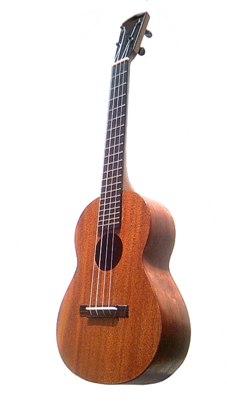 Tenor Ukulele 14 fret Pineapple/Standard model with case by Michael J King image 6