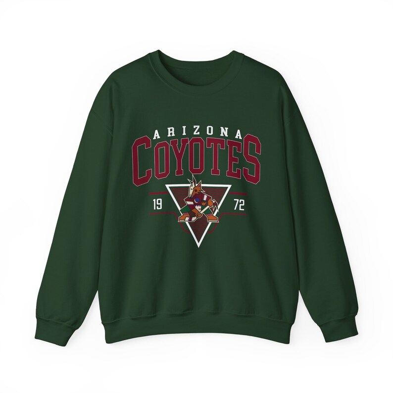 Vintage 90er Jahre Arizona Coyotes Sweatshirt, 90er Jahre Arizona Hoodie, 90er Jahre Hoodie, 90er Jahre Hoodie Bild 5