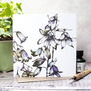 Cartão-presente em branco Bluebell Botanical por Jessica Wilde
